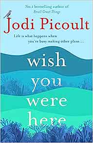 book review wish you were here by jodi picoult